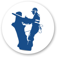 Icon - Hazardous Tree Removal in Oregon