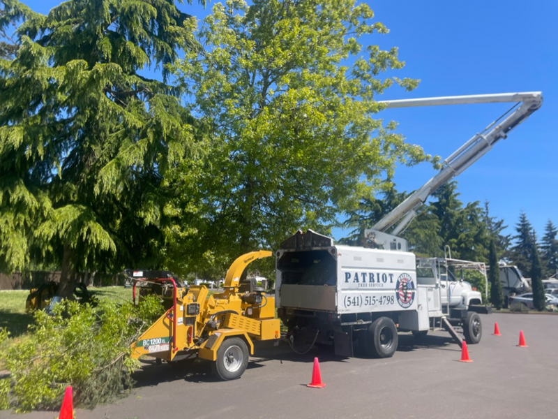 Tree Pruning - Oregon